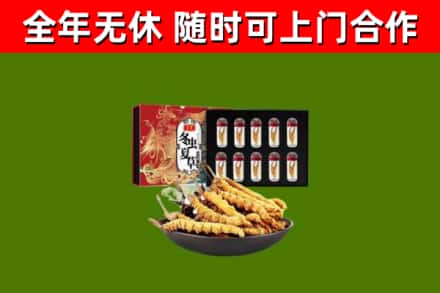 锡林郭勒市回收冬虫夏草价格